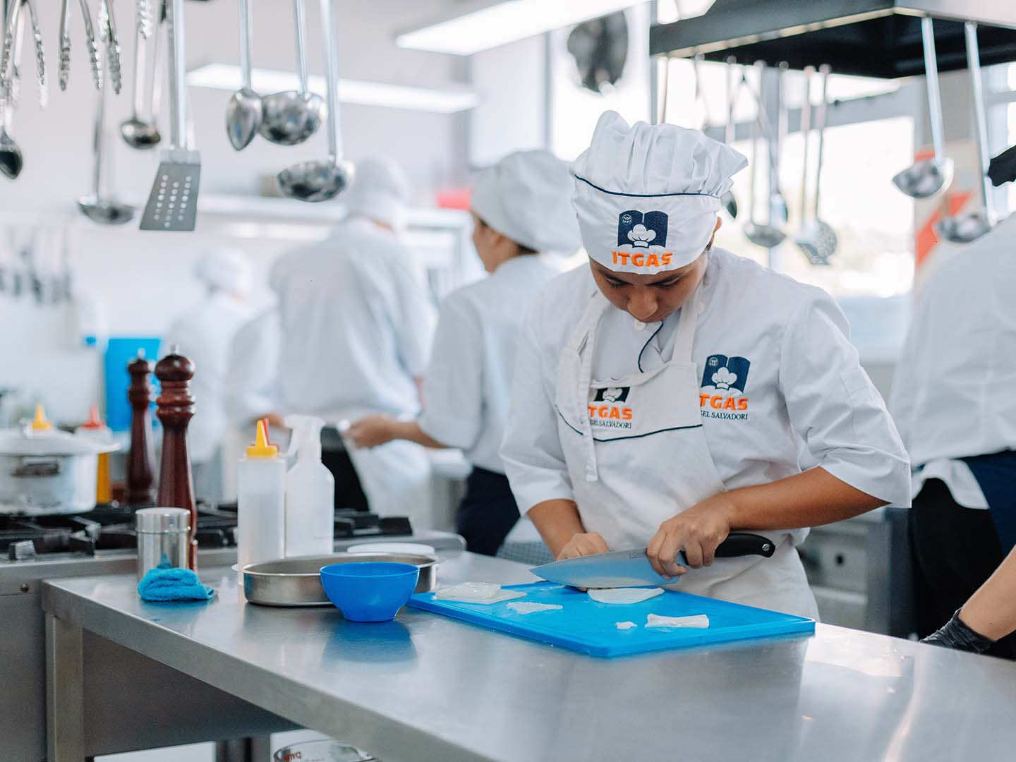 Tecnicatura en Servicios Gastronómicos